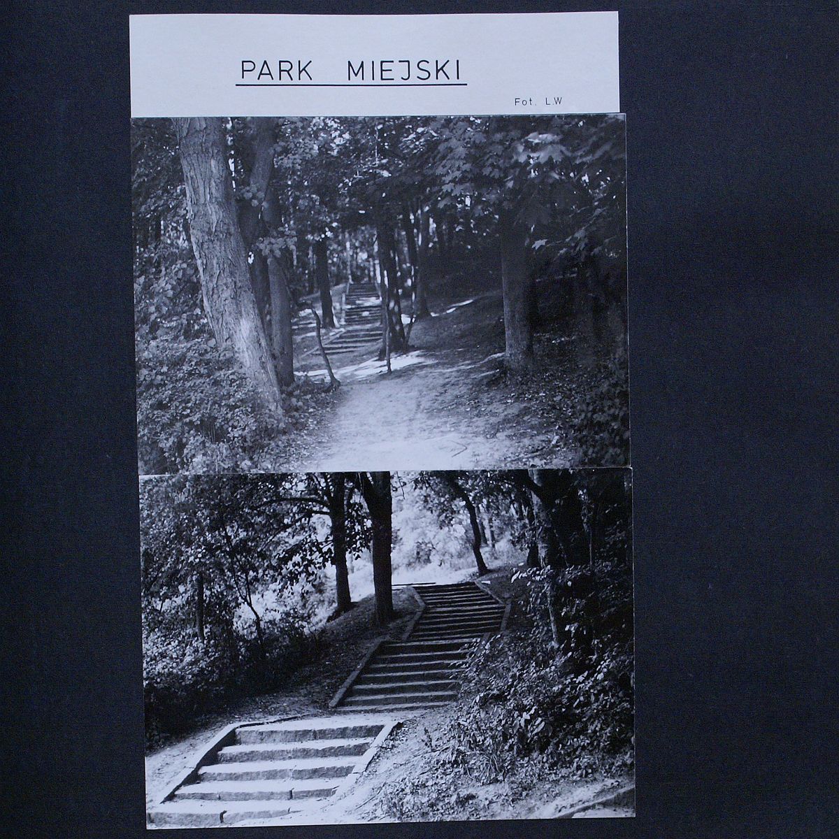 Kronika Towarzystwa Miłośników Ziemi Tczewskiej